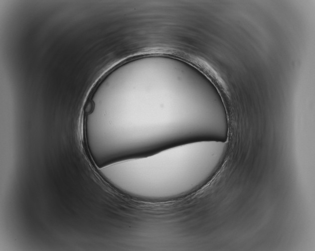 X0000100331276200806051156