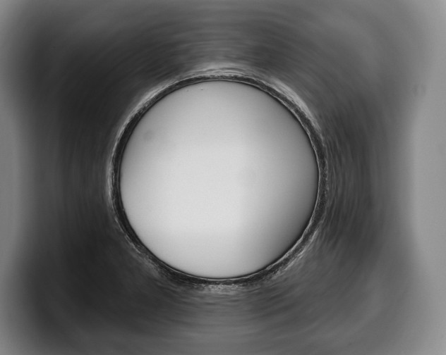 X0000100331277200806051156