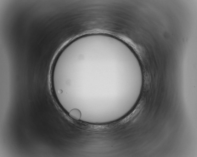 X0000100331278200806051156