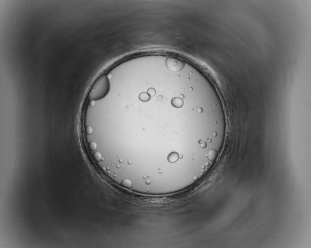 X0000100331279200806051156