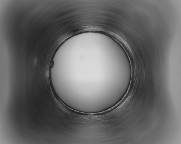 X0000100331281200806051156