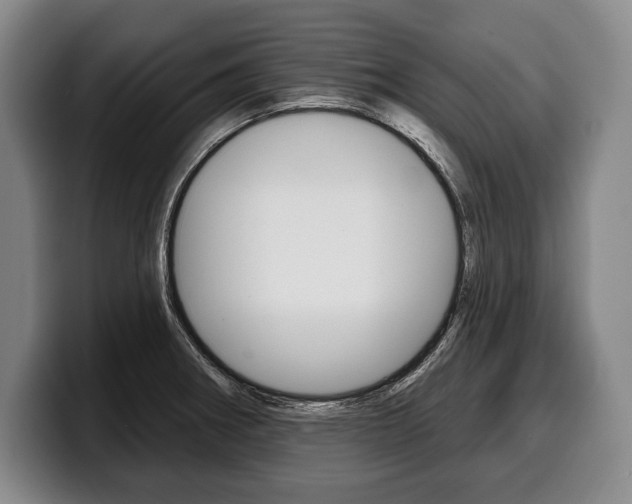 X0000100331282200806051156