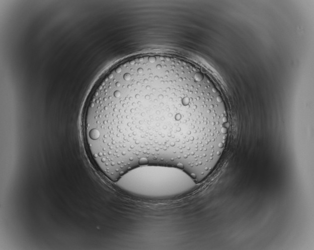 X0000100331283200806051156