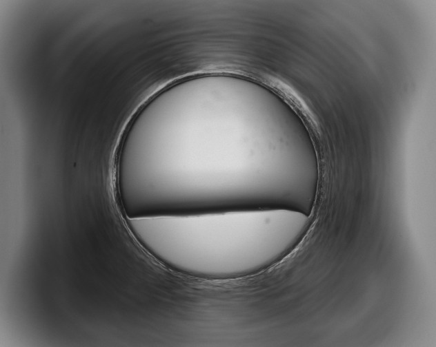 X0000100331284200806051156