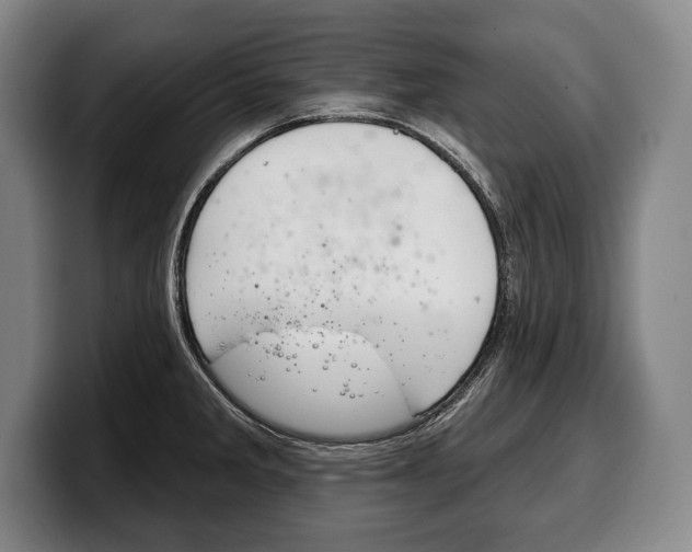 X0000100331285200806051156