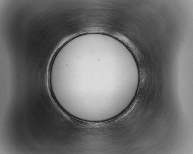 X0000100331286200806051156
