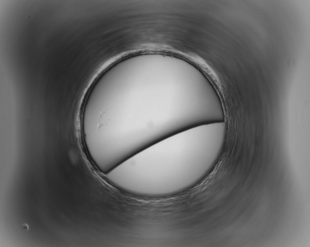 X0000100331287200806051156