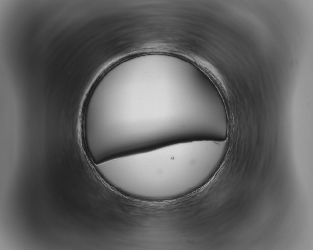 X0000100331288200806051156