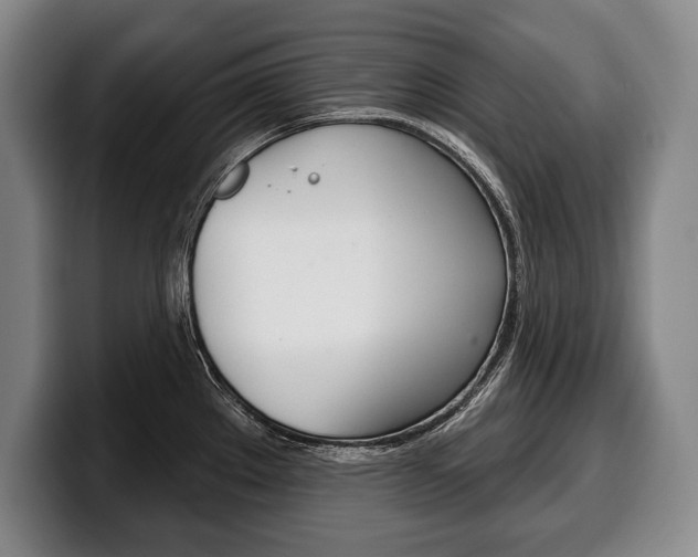 X0000100331289200806051156