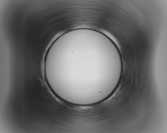 X0000100331290200806051156