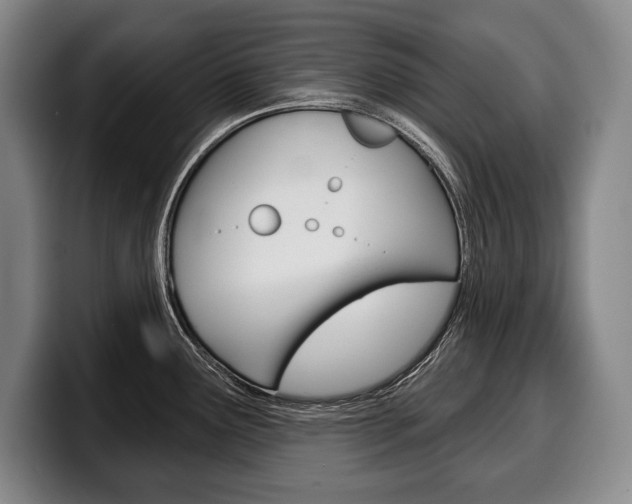 X0000100331291200806051156