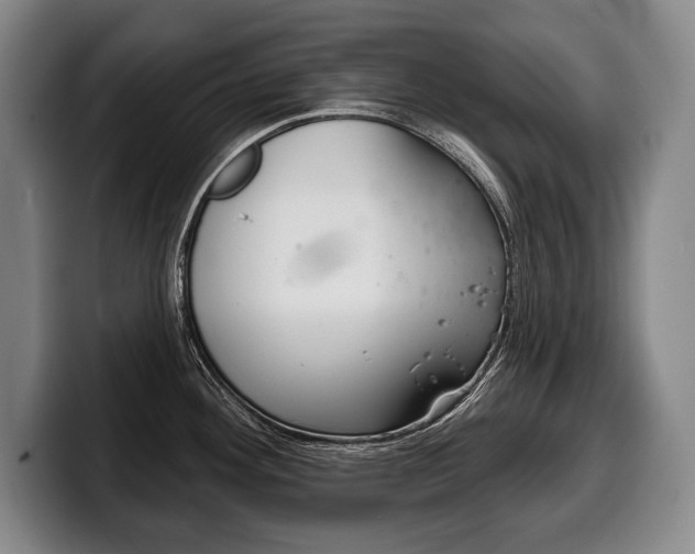 X0000100331292200806051156