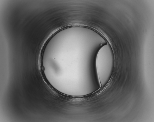 X0000100331293200806051156