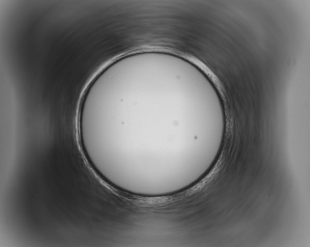 X0000100331294200806051156