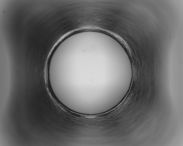 X0000100331295200806051156