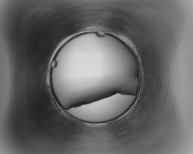 X0000100331296200806051156