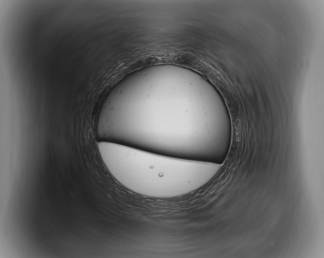 X0000100331298200806051155