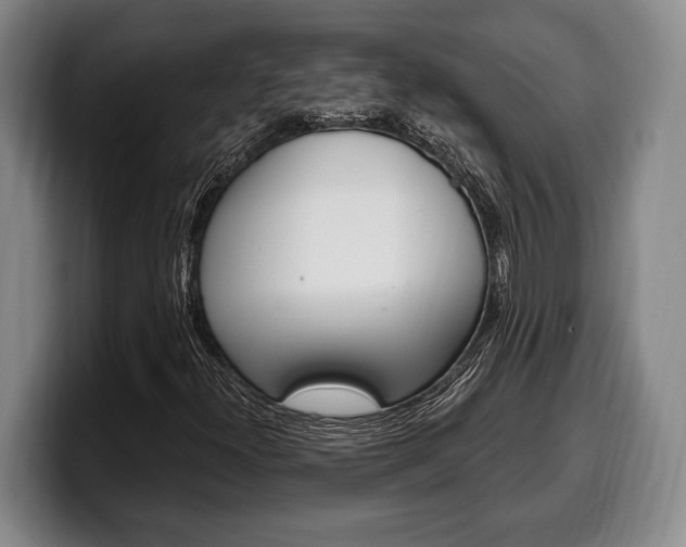 X0000100331300200806051155