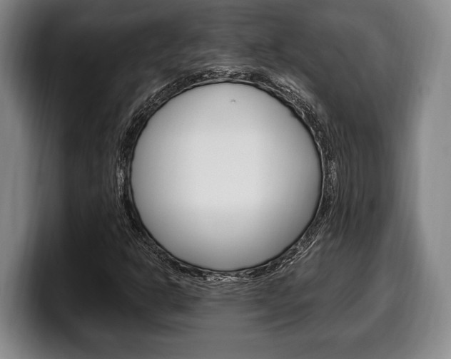 X0000100331302200806051155