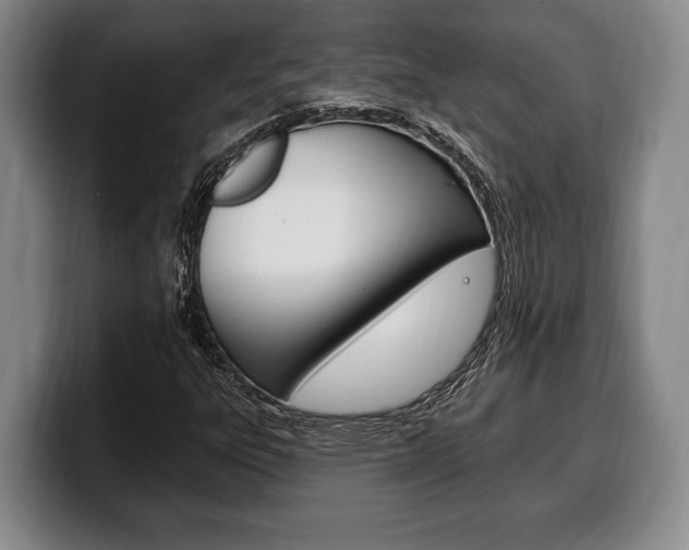 X0000100331303200806051155