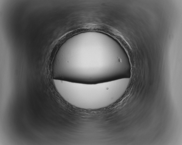 X0000100331304200806051155