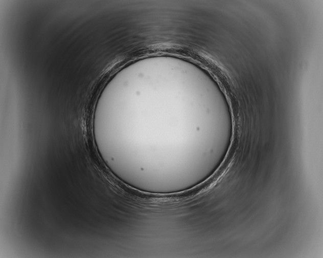 X0000100331305200806051155