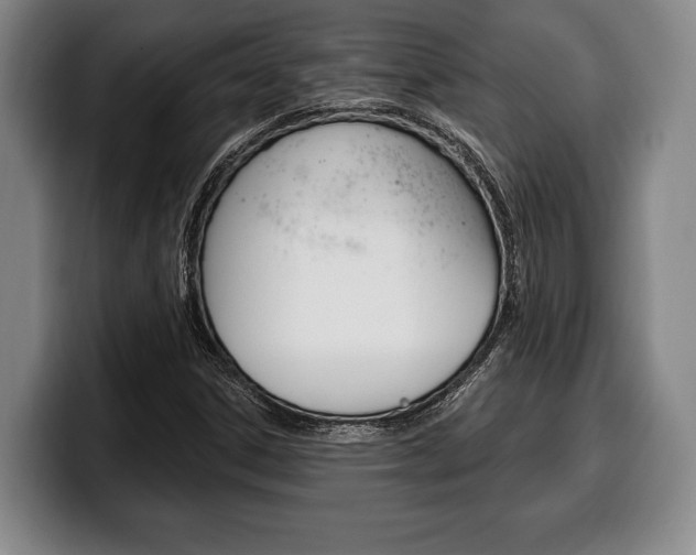 X0000100331306200806051155