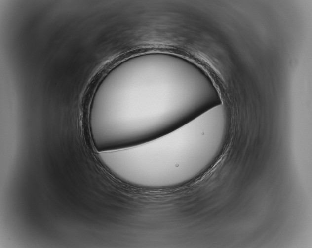 X0000100331307200806051155