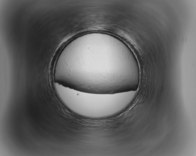 X0000100331308200806051155