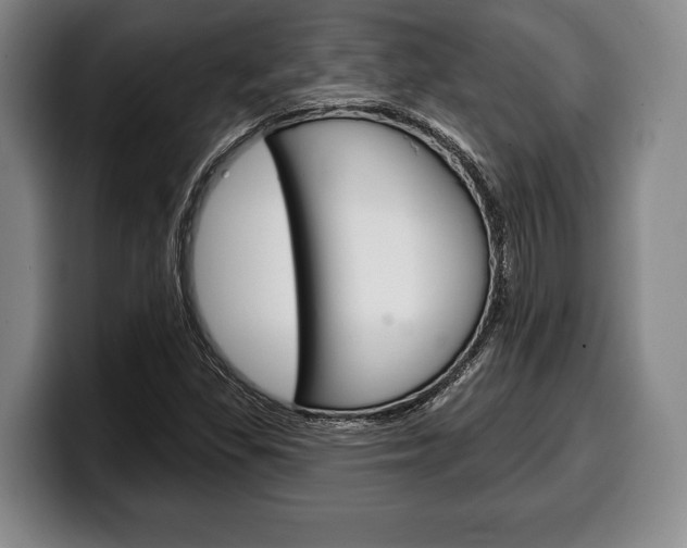 X0000100331309200806051155