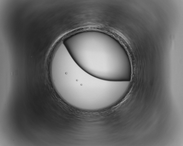 X0000100331310200806051155