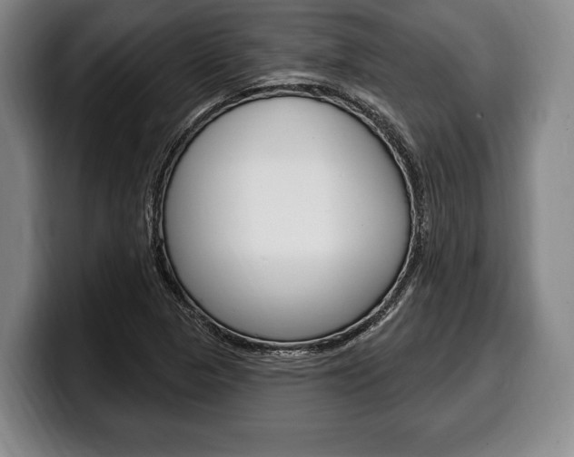 X0000100331313200806051155