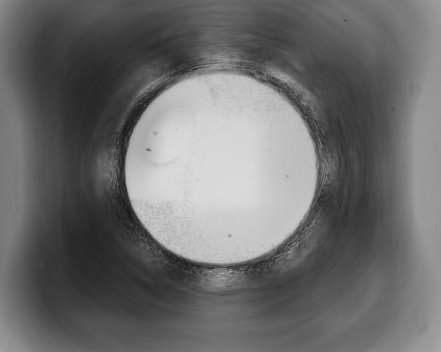 X0000100331314200806051155