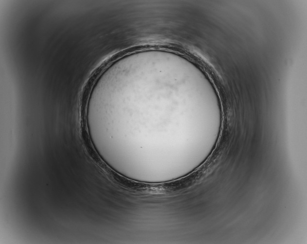 X0000100331315200806051155