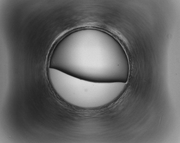 X0000100331316200806051155