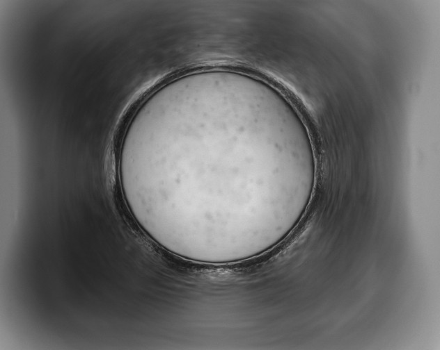 X0000100331317200806051155
