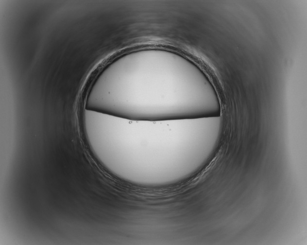 X0000100331318200806051155