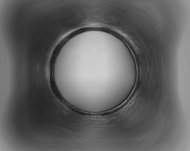X0000100331319200806051155
