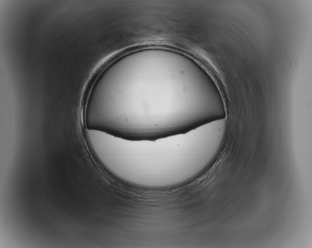 X0000100331320200806051155