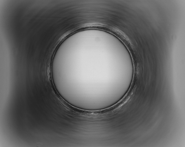 X0000100331321200806051155