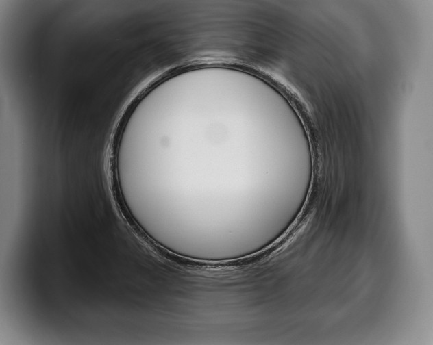 X0000100331325200806051155