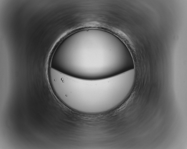 X0000100331326200806051155