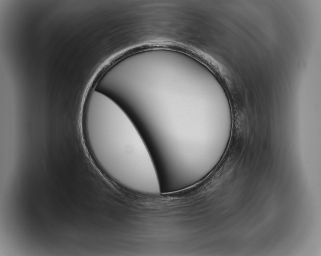 X0000100331327200806051155