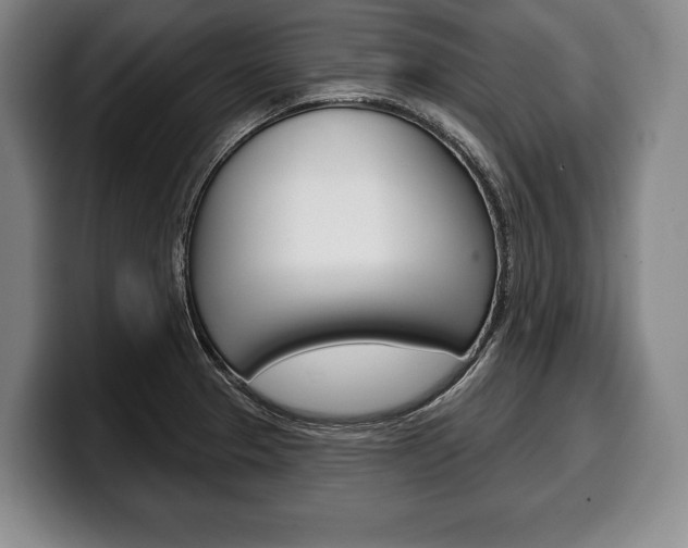 X0000100331329200806051155