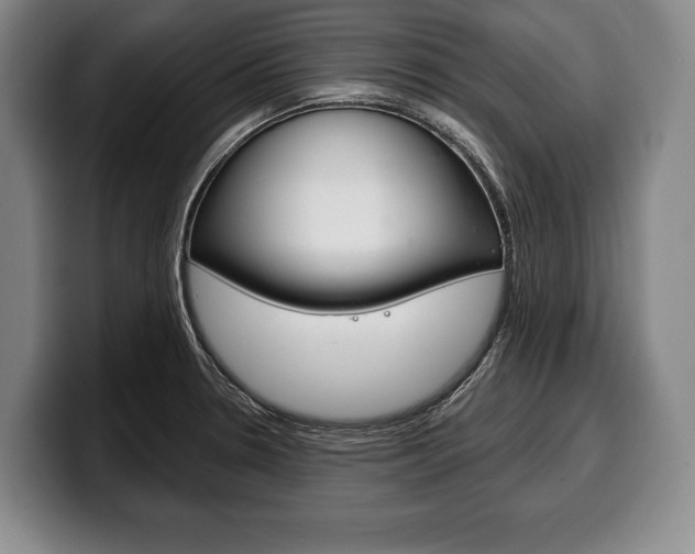 X0000100331330200806051155