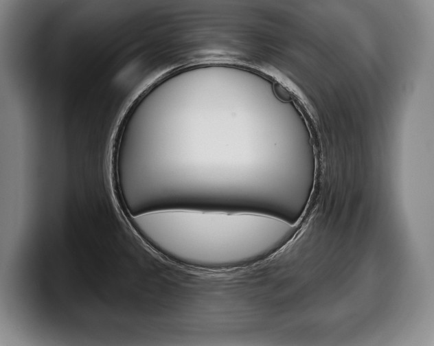 X0000100331333200806051155