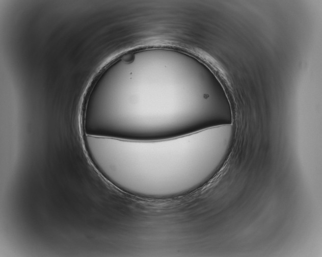 X0000100331334200806051155