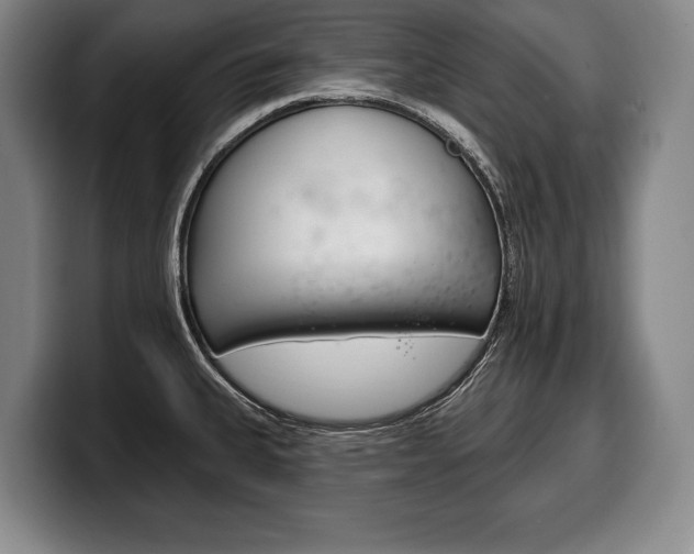 X0000100331335200806051155