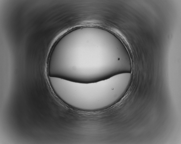 X0000100331336200806051155