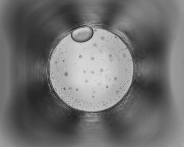 X0000100331338200806051155